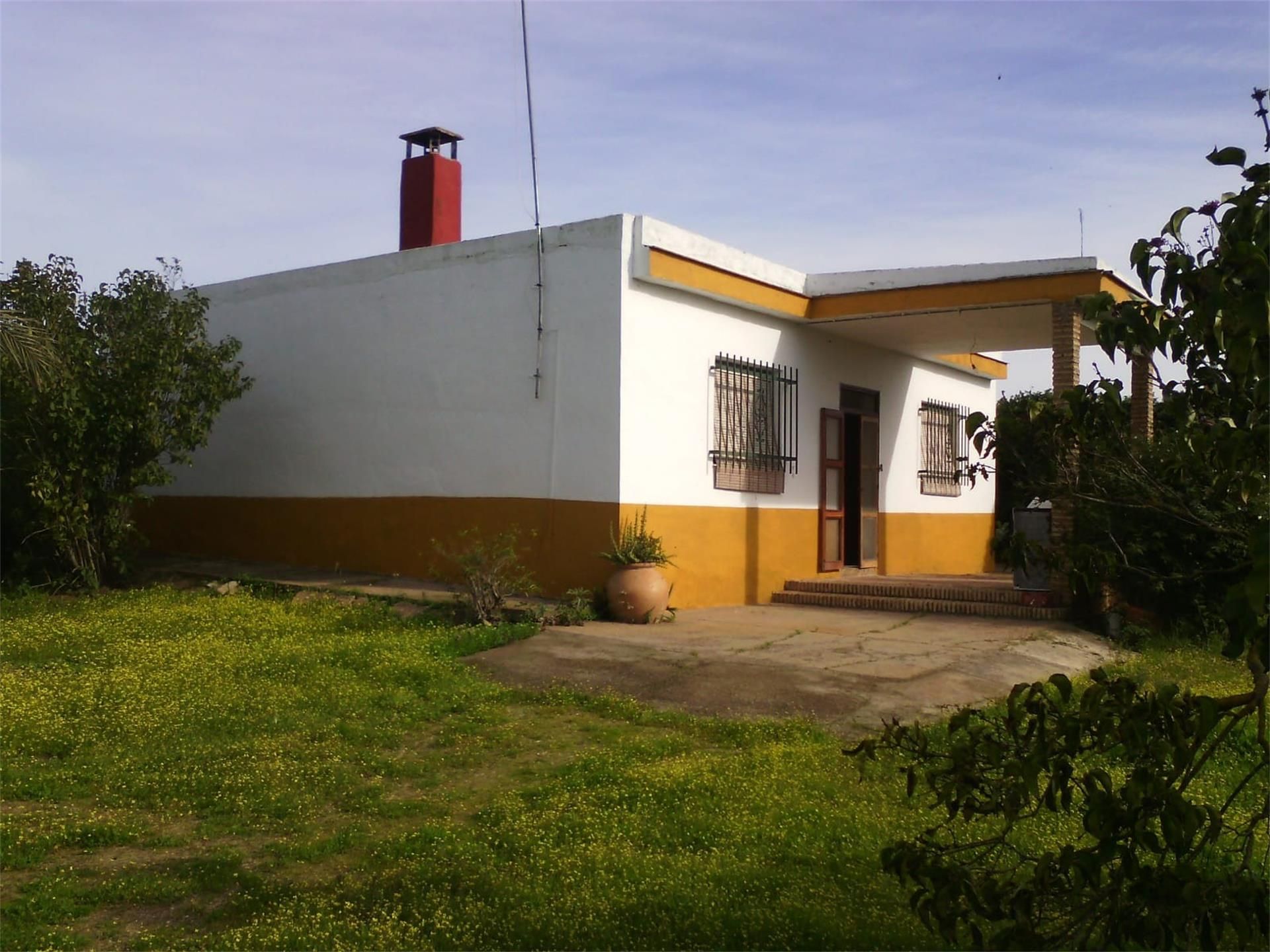Vista exterior de Finca rústica en venda en La Puebla del Río