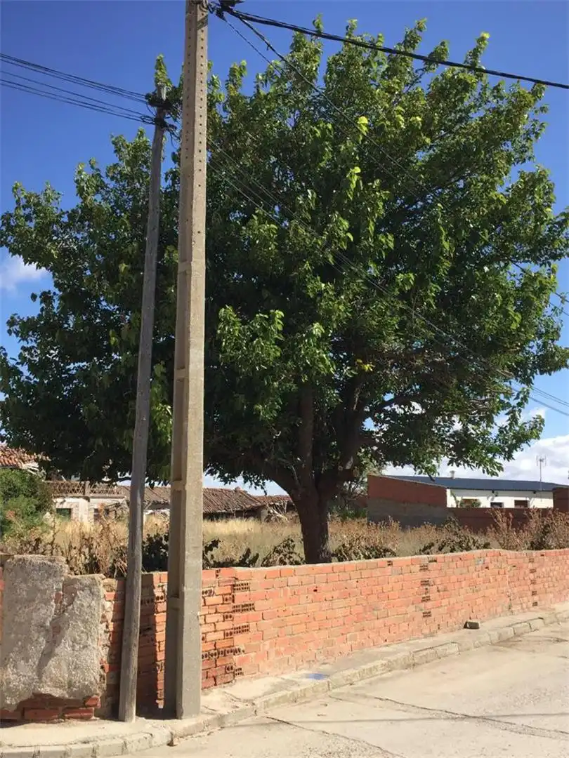 Terreno en venta en Albornos