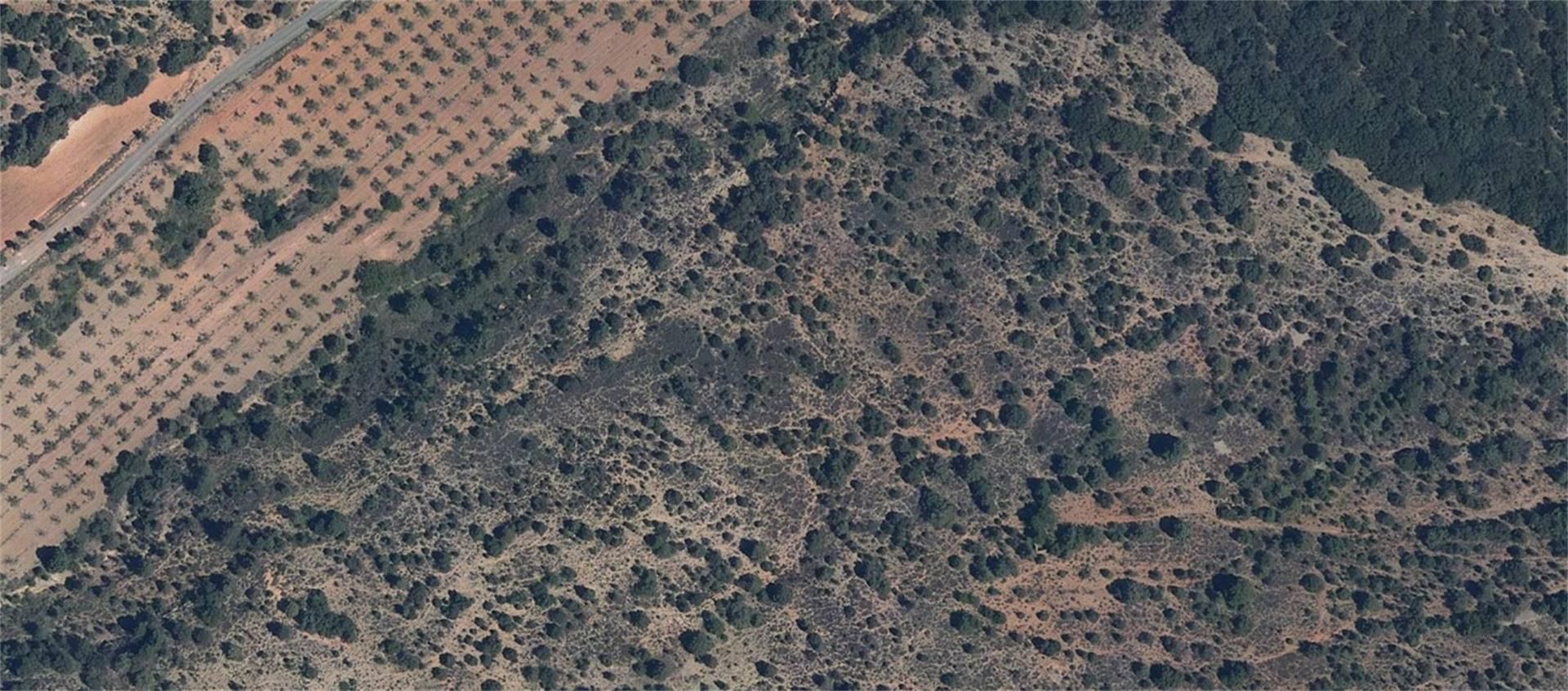 Land for sale in Sarrión