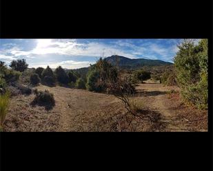 Land for sale in El Tiemblo 