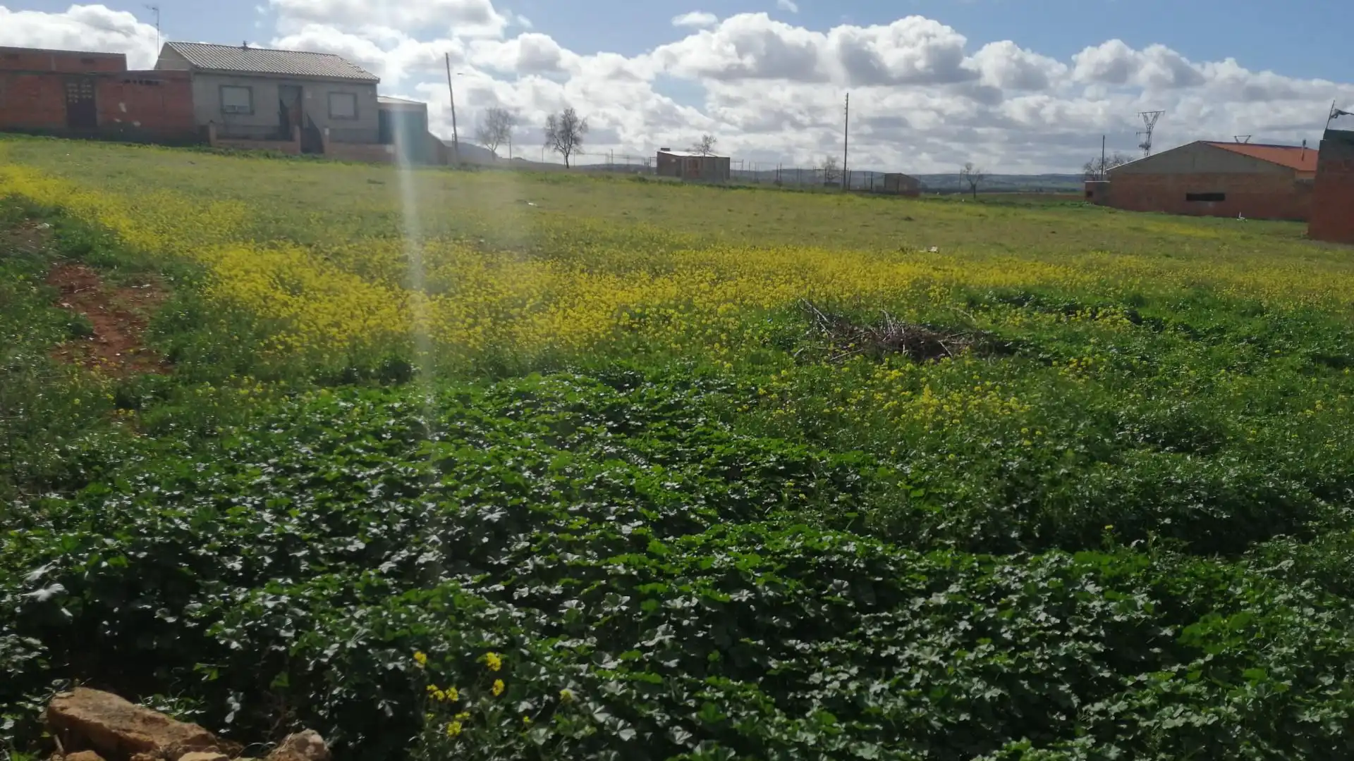 Vista exterior de Terreno en venta en Bolaños de Calatrava