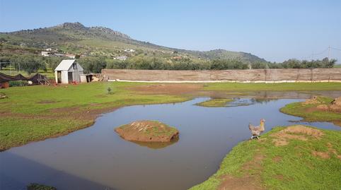 Photo 4 of Country house for sale in Plaza España, Zafra, Badajoz