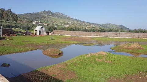 Photo 5 of Country house for sale in Plaza España, Zafra, Badajoz