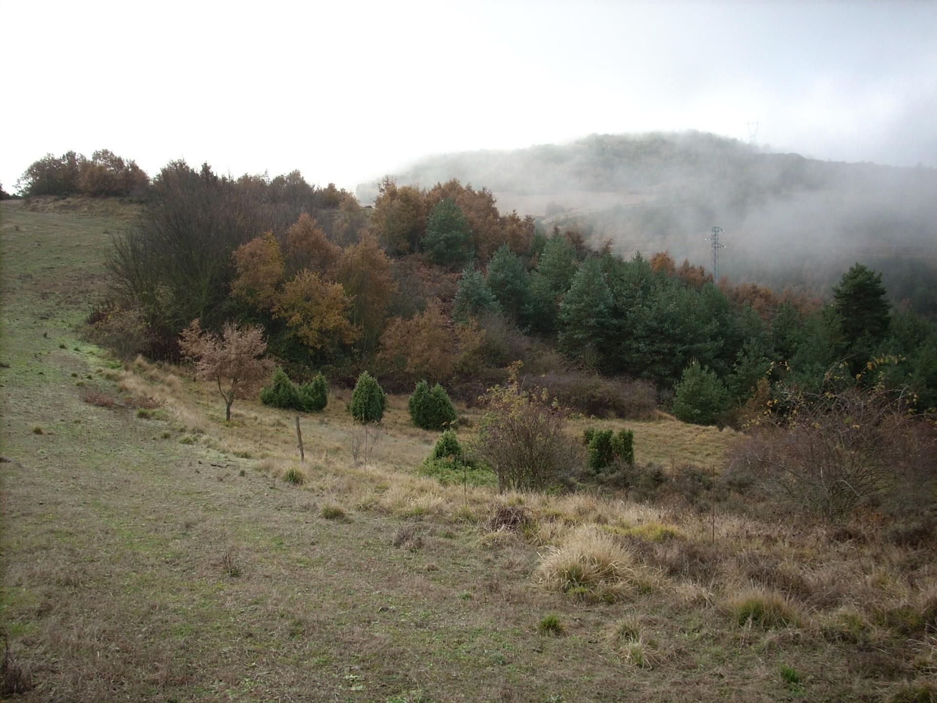 Land for sale in Añana