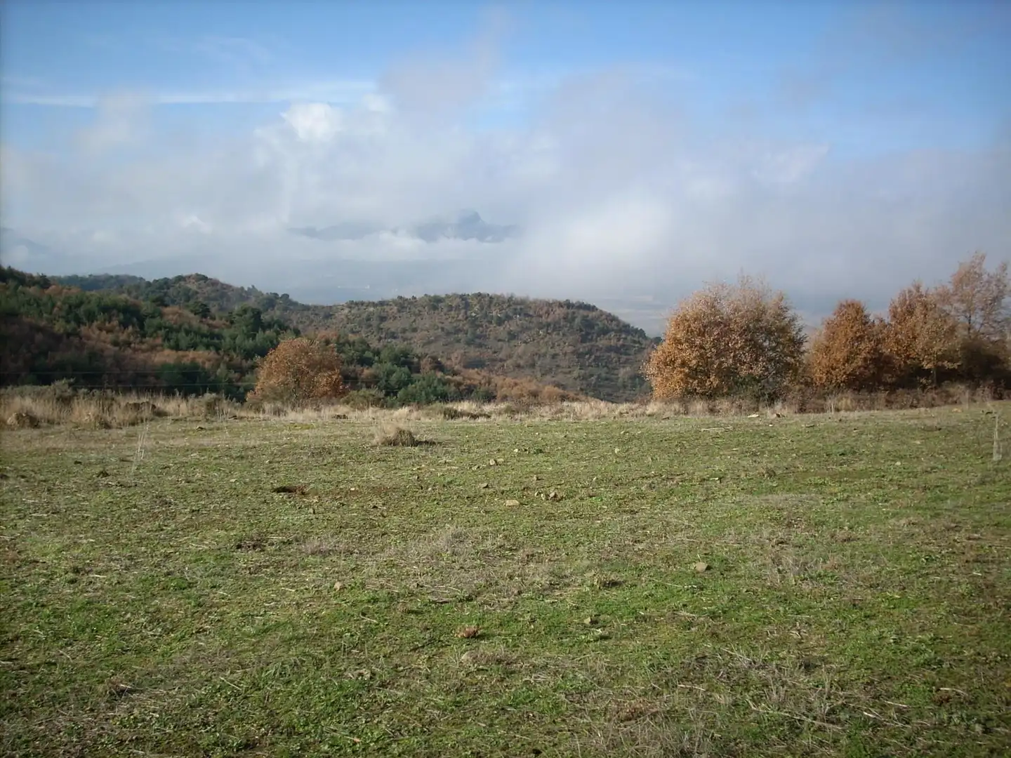 Terreno en venta en Calle Real, Añana Terreno en venta en Añana