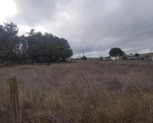 Land for sale in Calvarrasa de Abajo