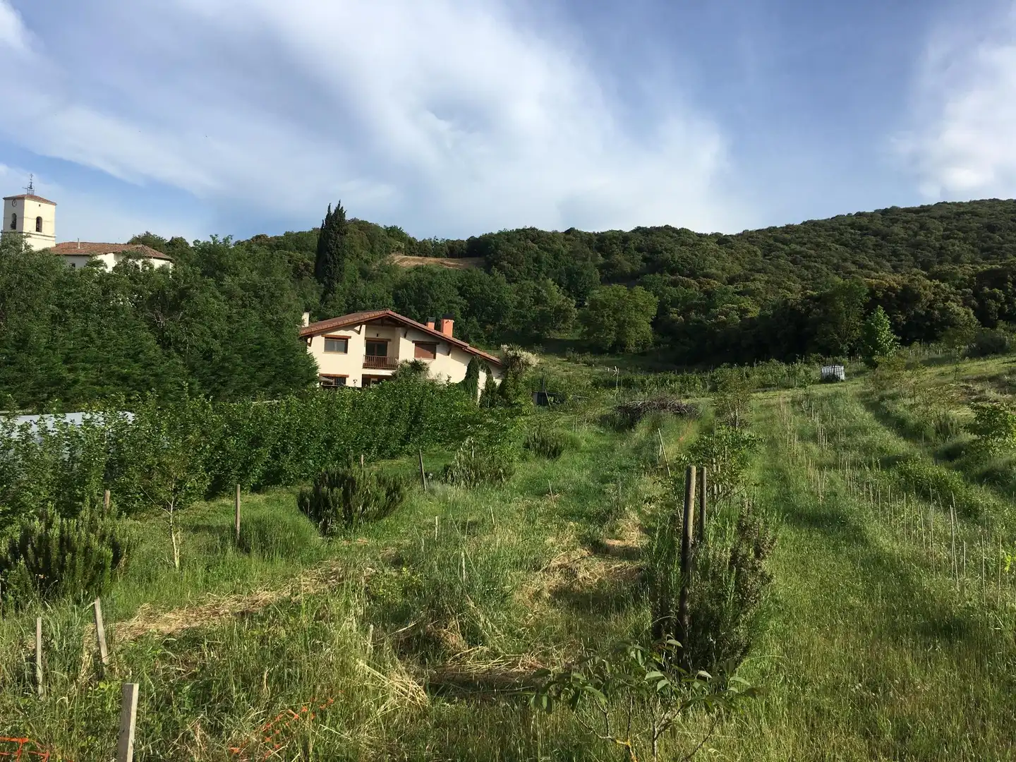 Houses for sale in Erriberagoitia / Ribera Alta Garden of Houses for sale in Erriberagoitia / Ribera Alta with Balcony