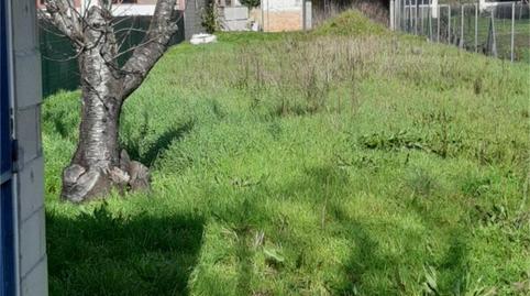 Finca rústica en venda a Rúa O Progreso, A Rúa , Ourense - imatge 2 Foto 2 de Finca rústica en venda a Rúa O Progreso, A Rúa , Ourense