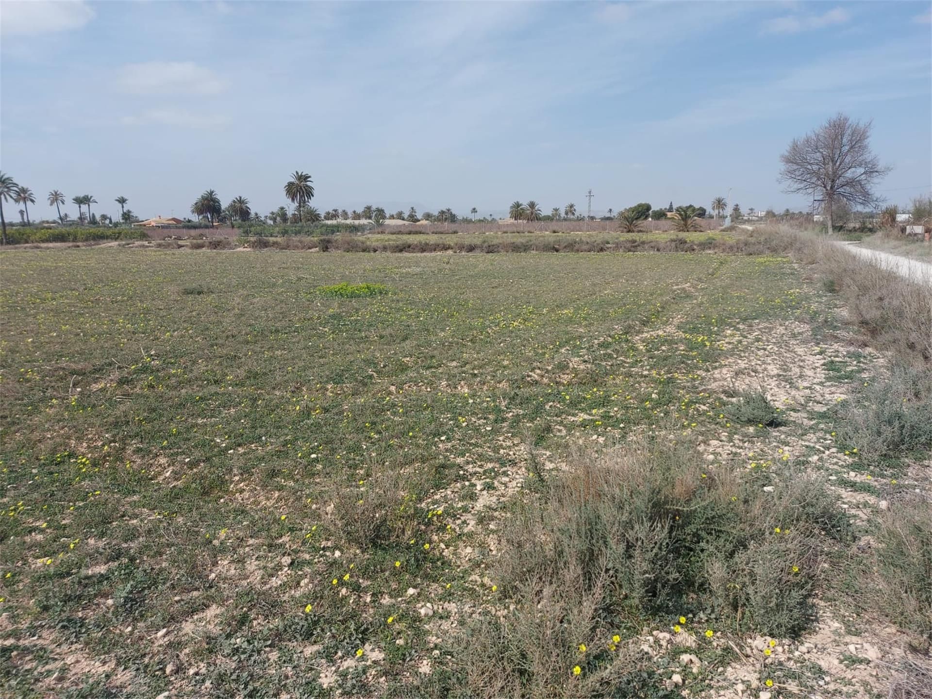 Urbanitzable en venda en Elche / Elx