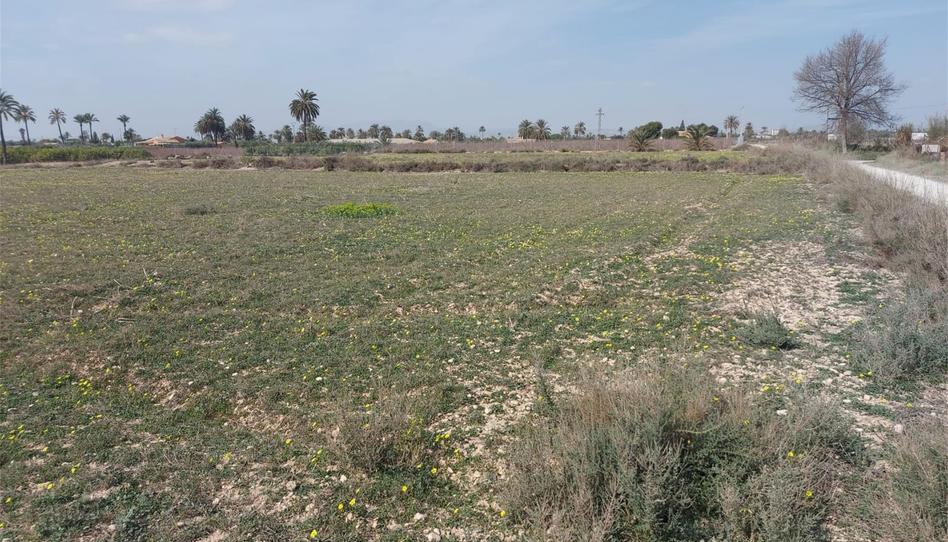 Foto 1 de Urbanitzable en venda a Camino de Ventarich, Alzabares, Alicante