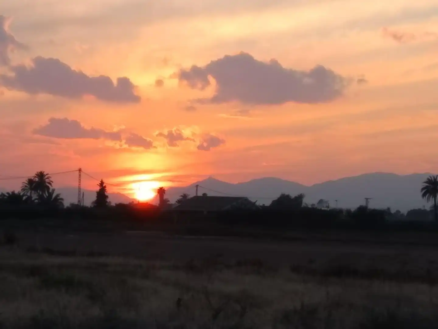 Bebaubares Gelände zum Verkauf in Camino de Ventarich, Alzabares Außenansicht von Bebaubares Gelände zum Verkauf in Elche / Elx