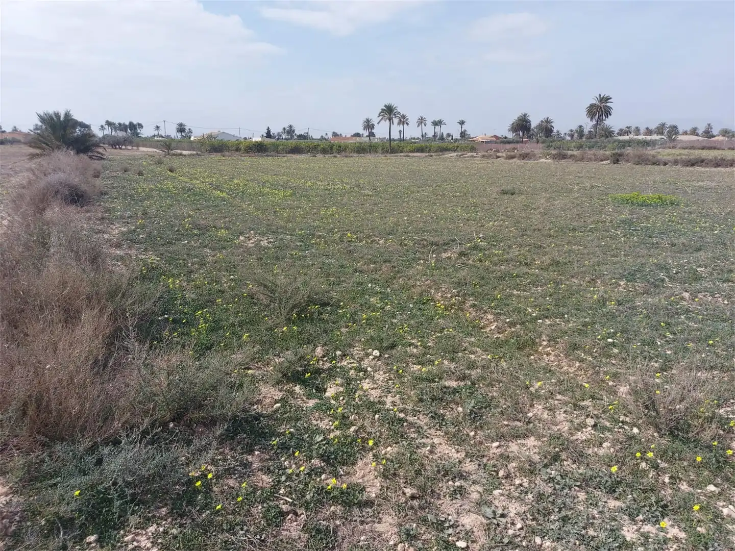 Bebaubares Gelände zum Verkauf in Camino de Ventarich, Alzabares Bebaubares Gelände zum Verkauf in Elche / Elx