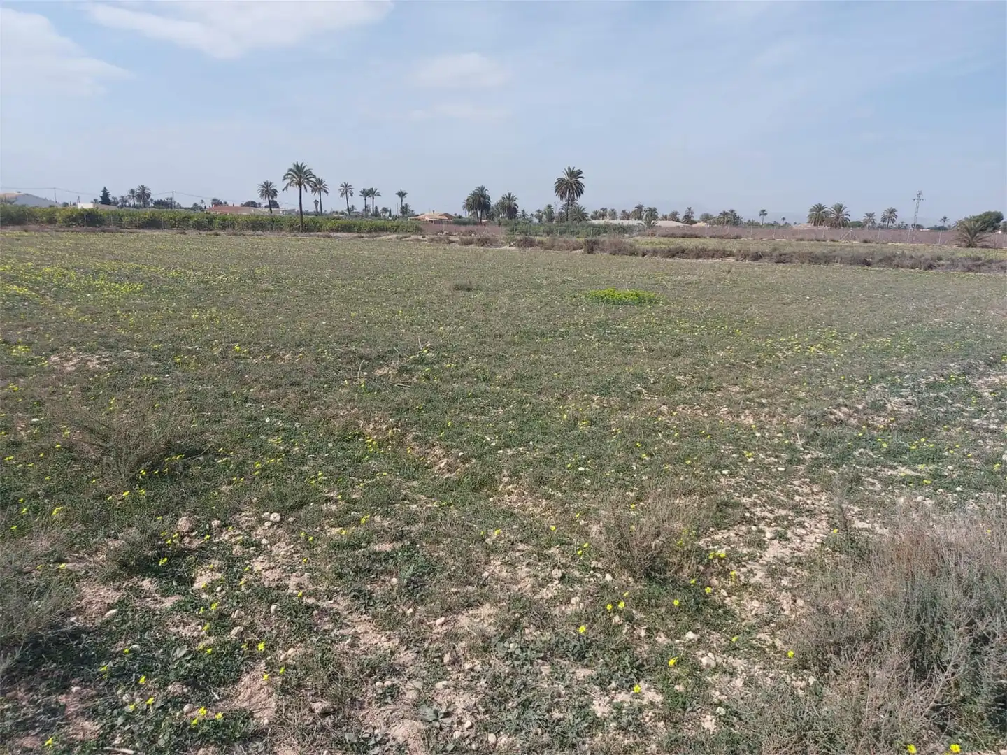 Bebaubares Gelände zum Verkauf in Camino de Ventarich, Alzabares Bebaubares Gelände zum Verkauf in Elche / Elx
