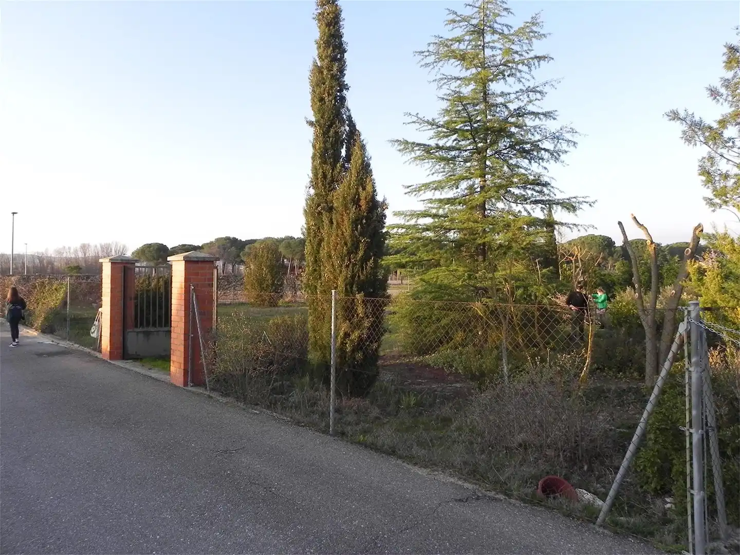 Constructible Land for sale in Villanueva de Duero