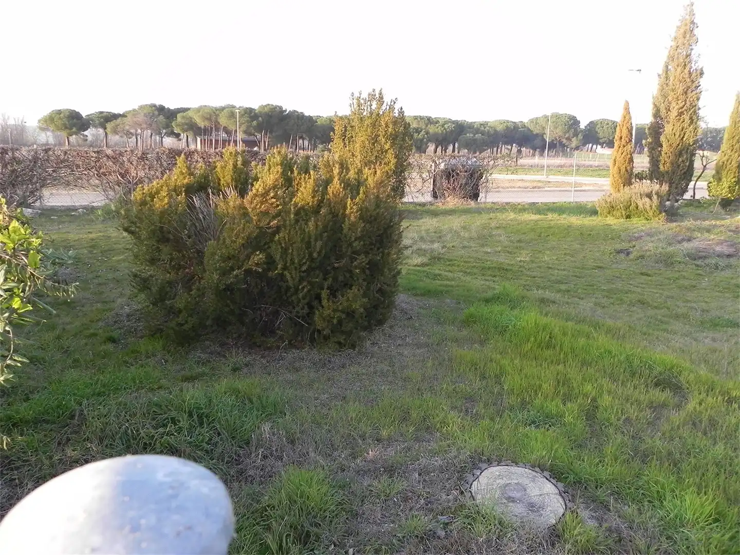Constructible Land for sale in Villanueva de Duero