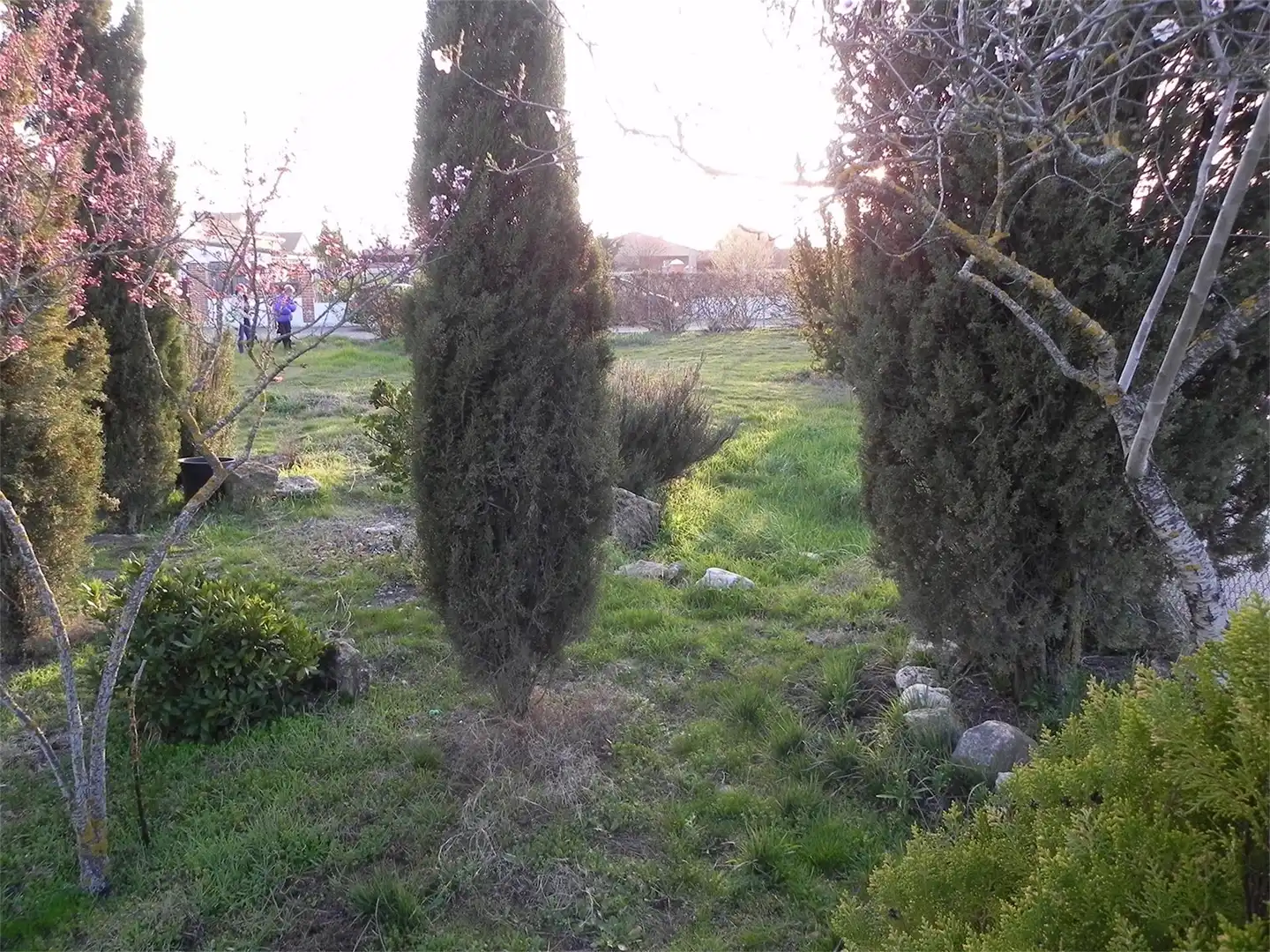 Garden of Constructible Land for sale in Villanueva de Duero