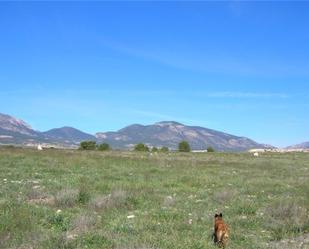 Land for sale in Lorca