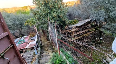 Planta baja for sale in Plaza Marcelino Blasco, 11, Olivenza, Badajoz - image 4 Photo 4 of Planta baja for sale in Plaza Marcelino Blasco, 11, Olivenza, Badajoz