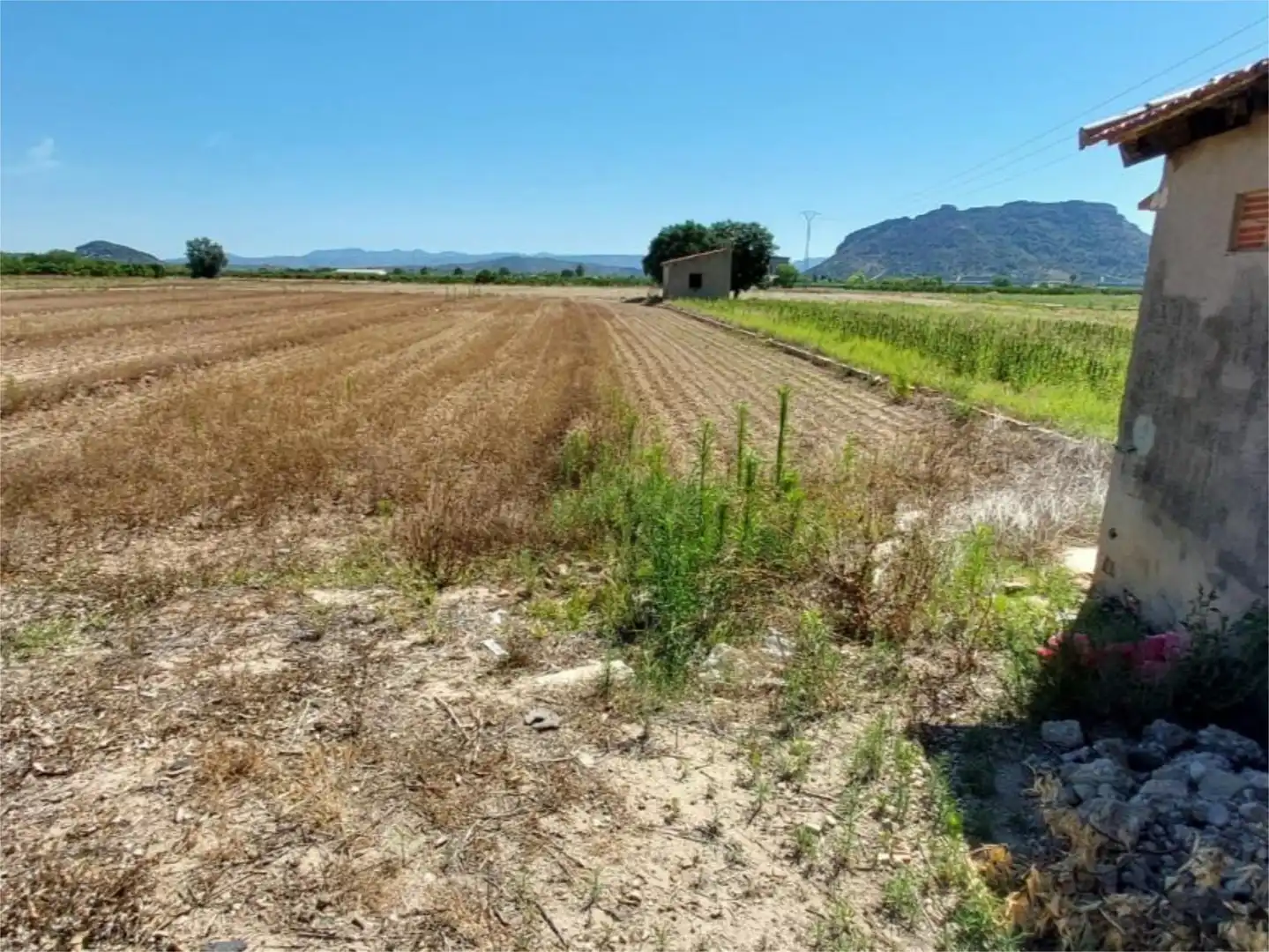 Terreno en venta en Xàtiva Terreno en venta en Xàtiva