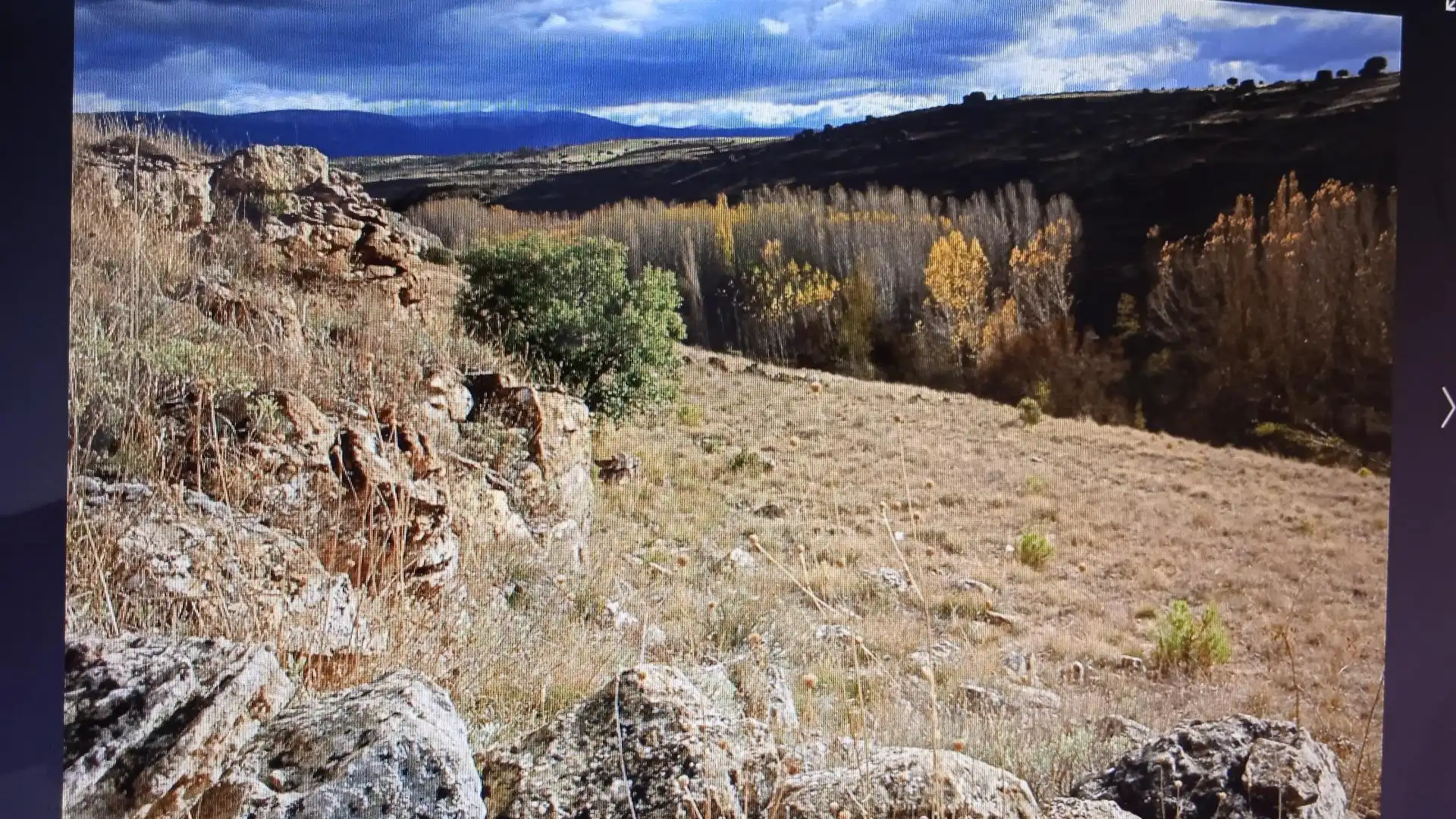 Terreno en venta en Caballar