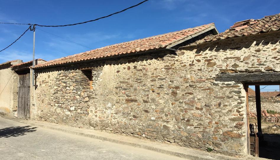 Finca rústica en venta en Calle Fuente, 1, Santa María la Real de Nieva, Segovia - imagen 1 Foto 1 de Finca rústica en venta en Calle Fuente, 1, Santa María la Real de Nieva, Segovia