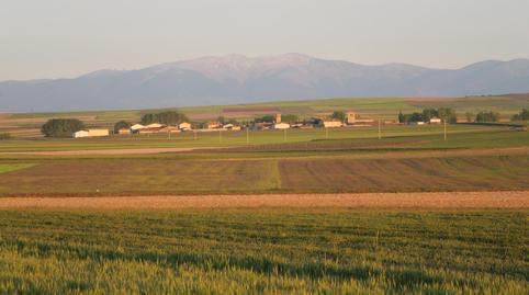 Finca rústica en venta en Calle Fuente, 1, Santa María la Real de Nieva, Segovia - imagen 5 Foto 5 de Finca rústica en venta en Calle Fuente, 1, Santa María la Real de Nieva, Segovia