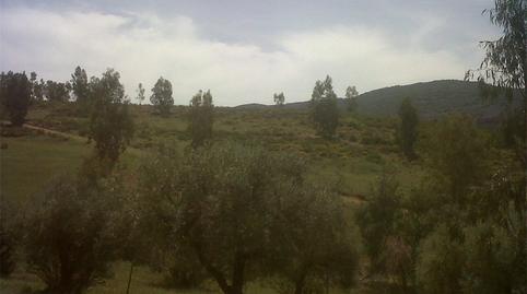 Foto 2 de Terreno en venta en Carretera a Paloma, Oliva de Mérida, Badajoz