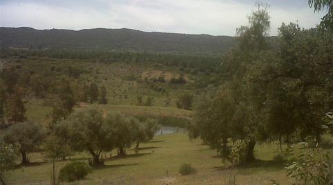 Foto 4 de Terreno en venta en Carretera a Paloma, Oliva de Mérida, Badajoz