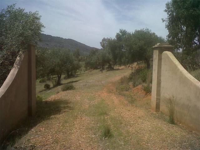 Terreno en venta en carretera a paloma de oliva de