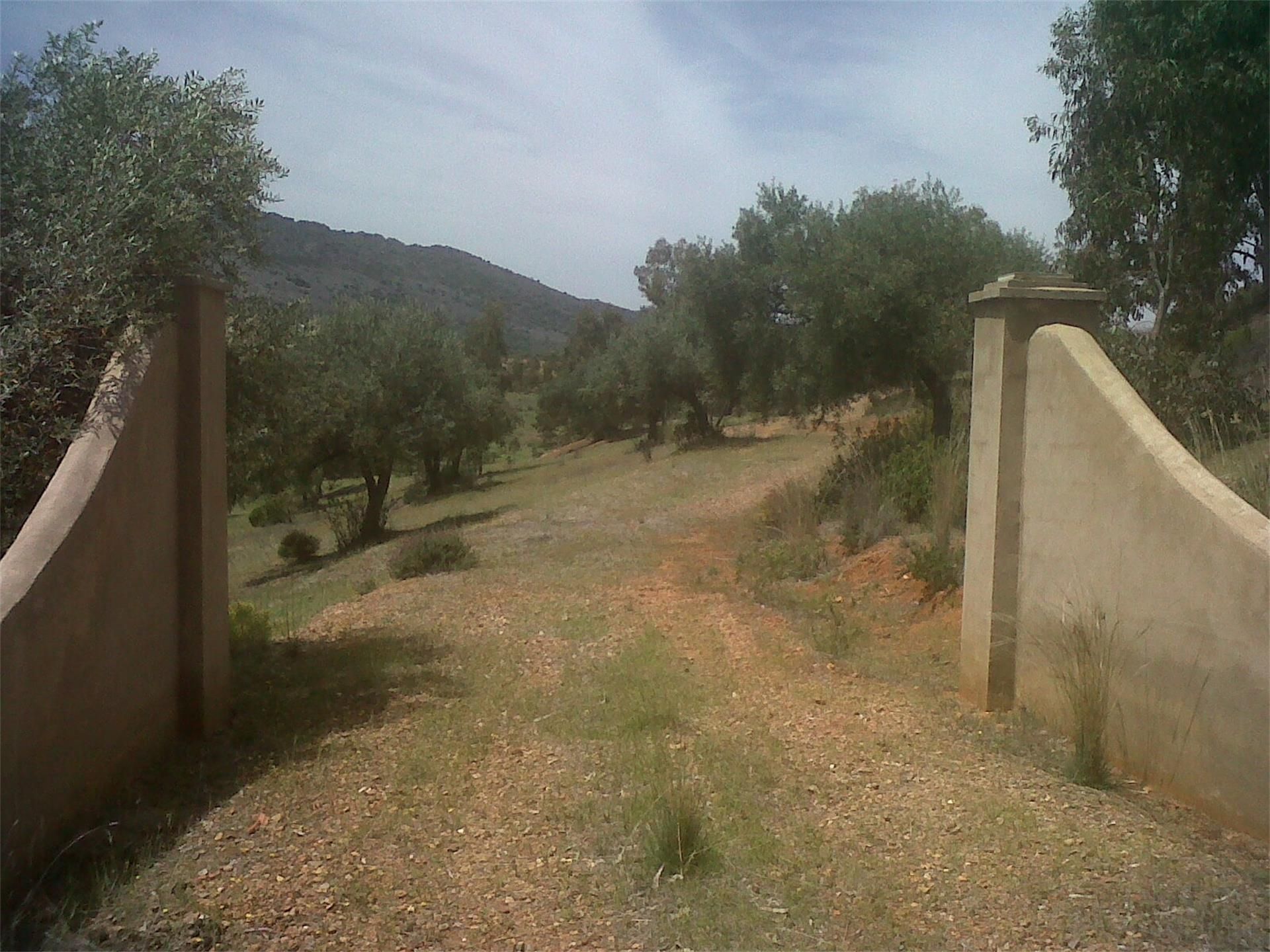 Exterior view of Land for sale in Oliva de Mérida