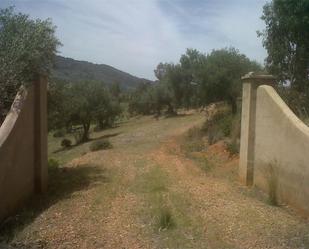 Exterior view of Land for sale in Oliva de Mérida