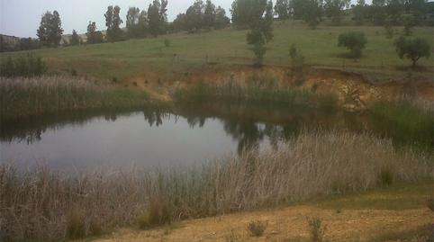 Foto 5 de Terreno en venta en Carretera a Paloma, Oliva de Mérida, Badajoz