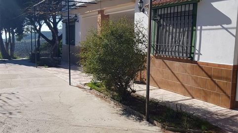 Land for sale in Cañuelo, Olvera, Cádiz - image 5 Photo 5 of Land for sale in Cañuelo, Olvera, Cádiz