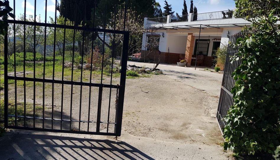 Land for sale in Cañuelo, Olvera, Cádiz - image 1 Photo 1 of Land for sale in Cañuelo, Olvera, Cádiz