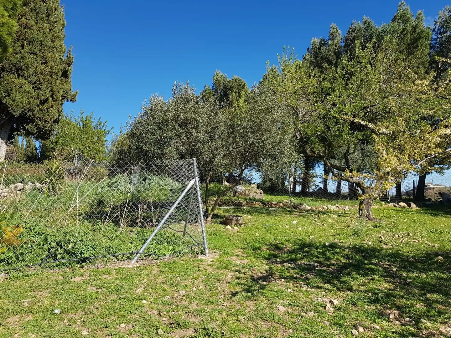 Grundstücke zum Verkauf in Cañuelo, Olvera Grundstücke zum Verkauf in Olvera