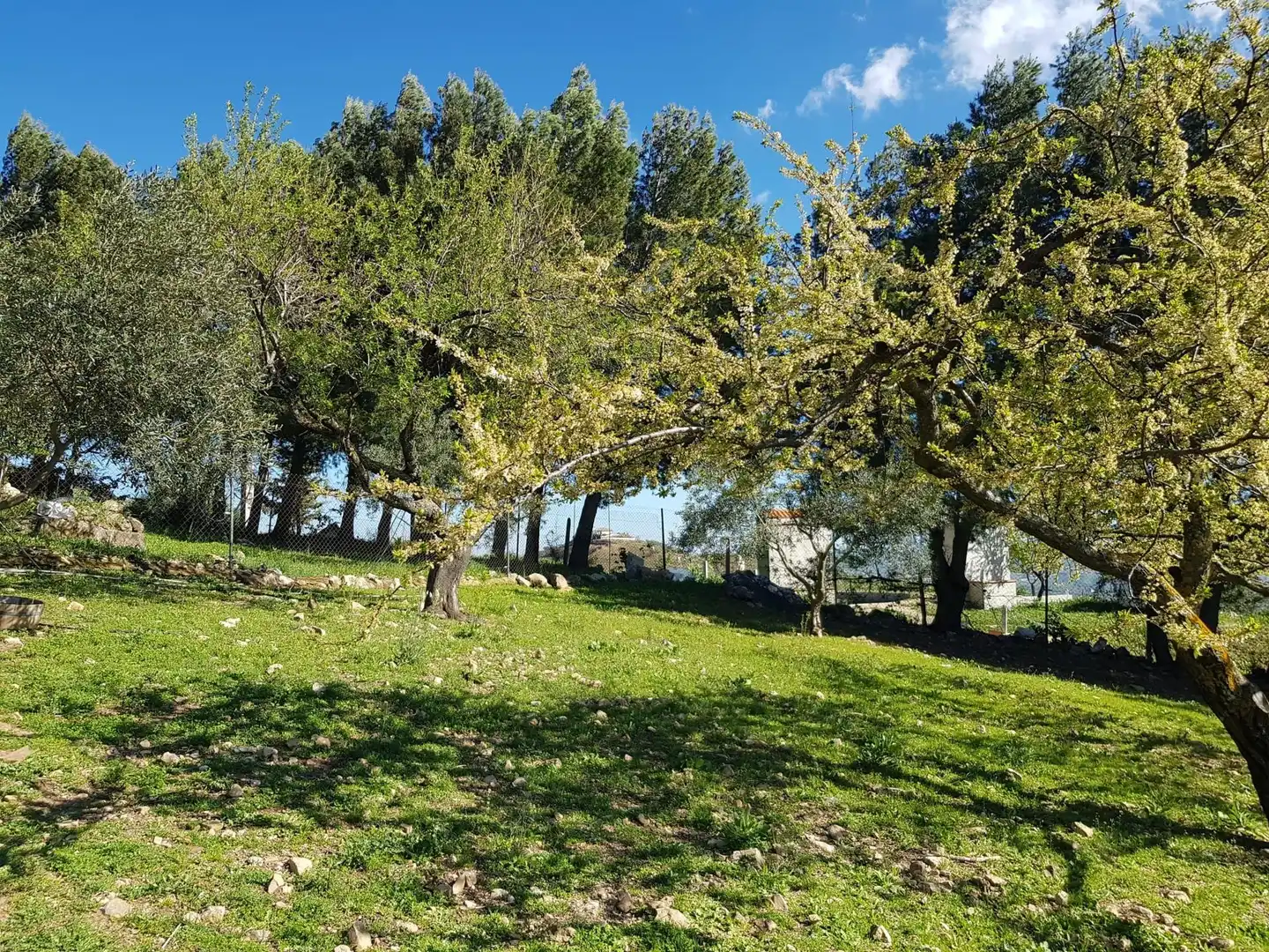 Grundstücke zum Verkauf in Cañuelo, Olvera Grundstücke zum Verkauf in Olvera