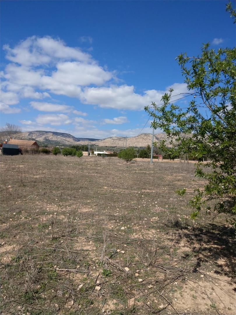 Land for sale in Beneixama