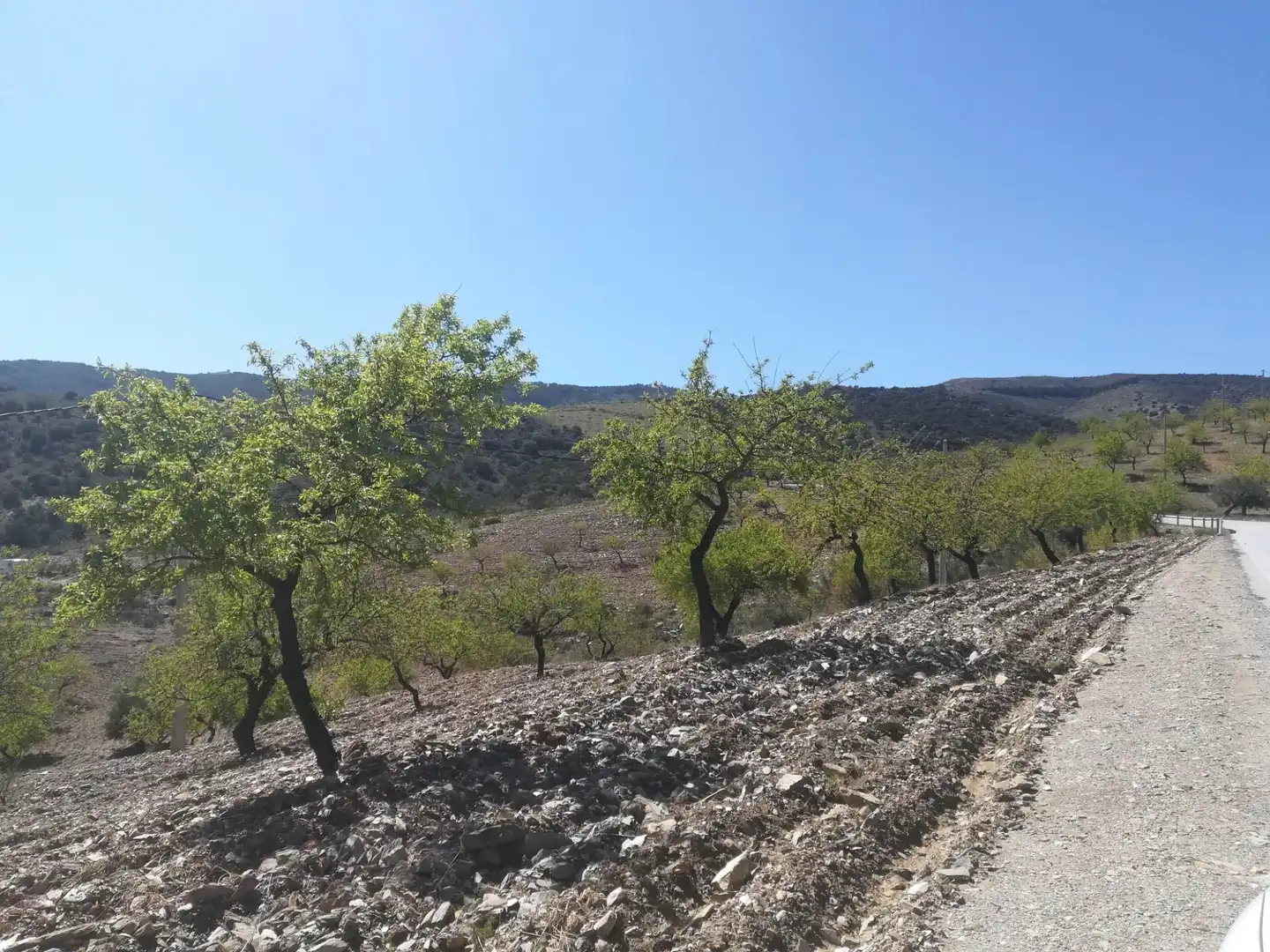 No Urbanitzable en venda en Tahal
