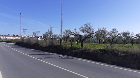 Terreno en venta en Se-3402, Balcón de Sevilla - Atalaya - La Uva - La Extremeña, Camas - imagen 3 Foto 3 de Terreno en venta en Se-3402, Balcón de Sevilla - Atalaya - La Uva - La Extremeña, Camas