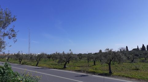 Terreno en venta en Se-3402, Balcón de Sevilla - Atalaya - La Uva - La Extremeña, Camas - imagen 4 Foto 4 de Terreno en venta en Se-3402, Balcón de Sevilla - Atalaya - La Uva - La Extremeña, Camas