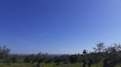 Terreno en venta en Se-3402, Balcón de Sevilla - Atalaya - La Uva - La Extremeña, Camas - imagen 5 Foto 5 de Terreno en venta en Se-3402, Balcón de Sevilla - Atalaya - La Uva - La Extremeña, Camas