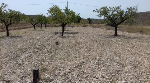 Bebaubares Gelände zum Verkauf in Calle Hondico, 15, Cehegín, Murcia - Bild 2 Foto 2 von Bebaubares Gelände zum Verkauf in Calle Hondico, 15, Cehegín, Murcia