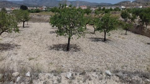 Bebaubares Gelände zum Verkauf in Calle Hondico, 15, Cehegín, Murcia - Bild 3 Foto 3 von Bebaubares Gelände zum Verkauf in Calle Hondico, 15, Cehegín, Murcia