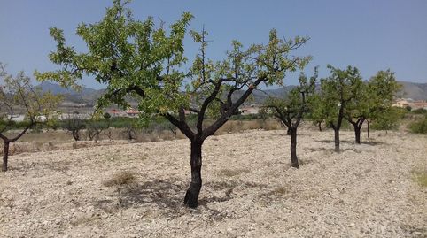 Bebaubares Gelände zum Verkauf in Calle Hondico, 15, Cehegín, Murcia - Bild 4 Foto 4 von Bebaubares Gelände zum Verkauf in Calle Hondico, 15, Cehegín, Murcia