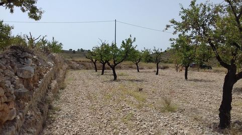 Bebaubares Gelände zum Verkauf in Calle Hondico, 15, Cehegín, Murcia - Bild 5 Foto 5 von Bebaubares Gelände zum Verkauf in Calle Hondico, 15, Cehegín, Murcia