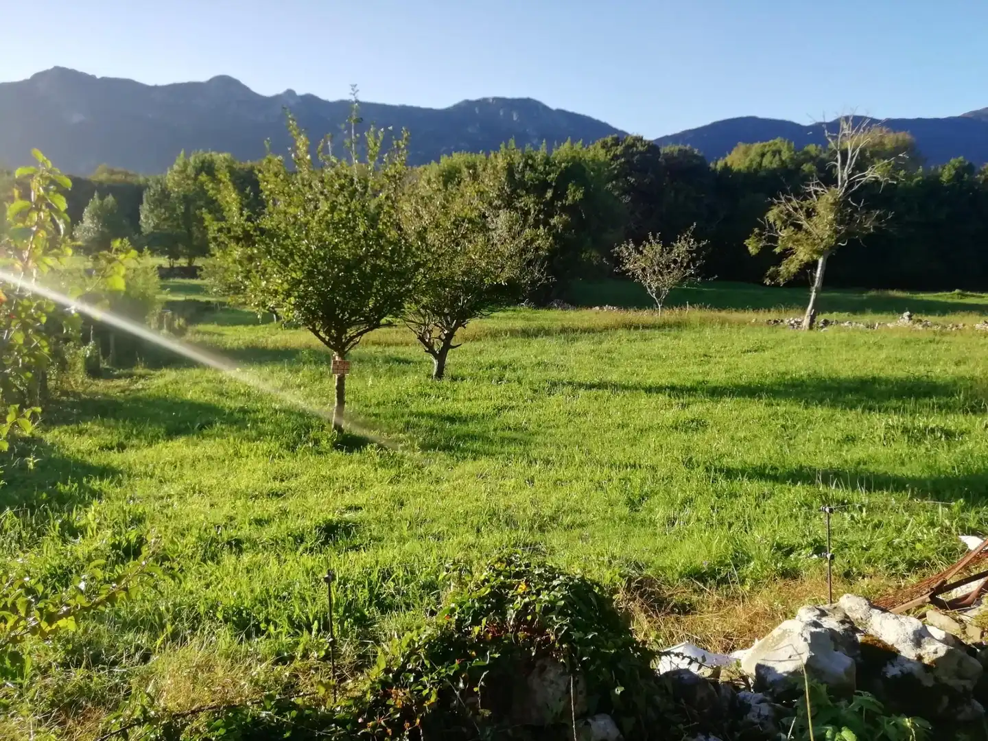 Terreno en venta en Ribadesella