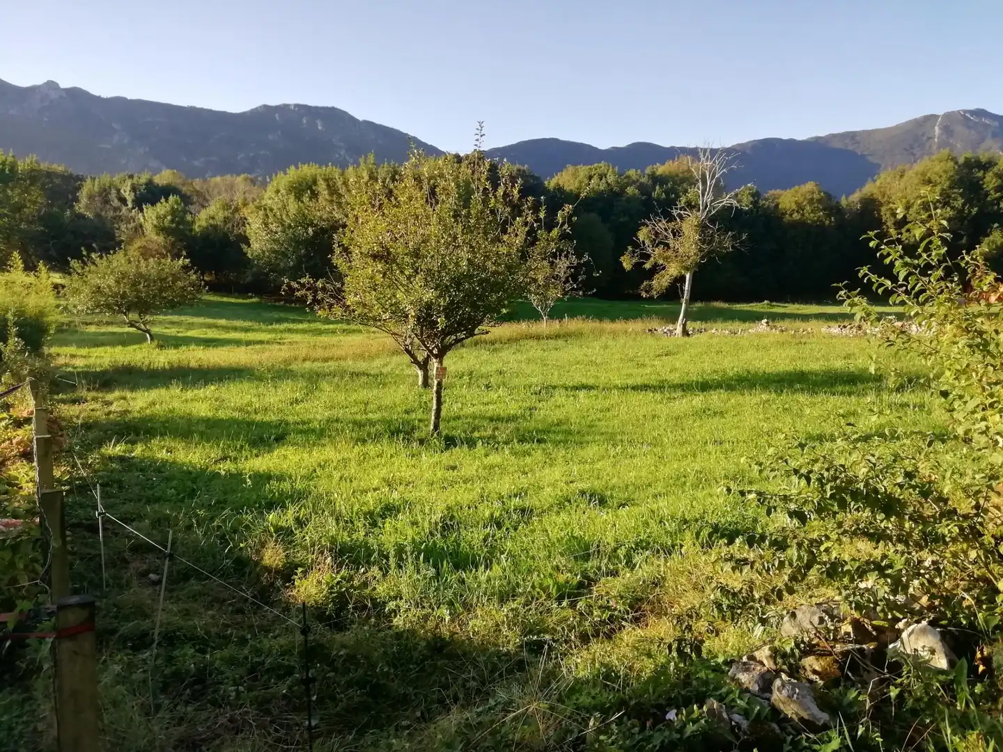 Terreno en venta en Ribadesella