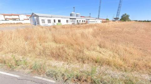 Photo 3 of Constructible Land for sale in Ex-108, Moraleja, Cáceres
