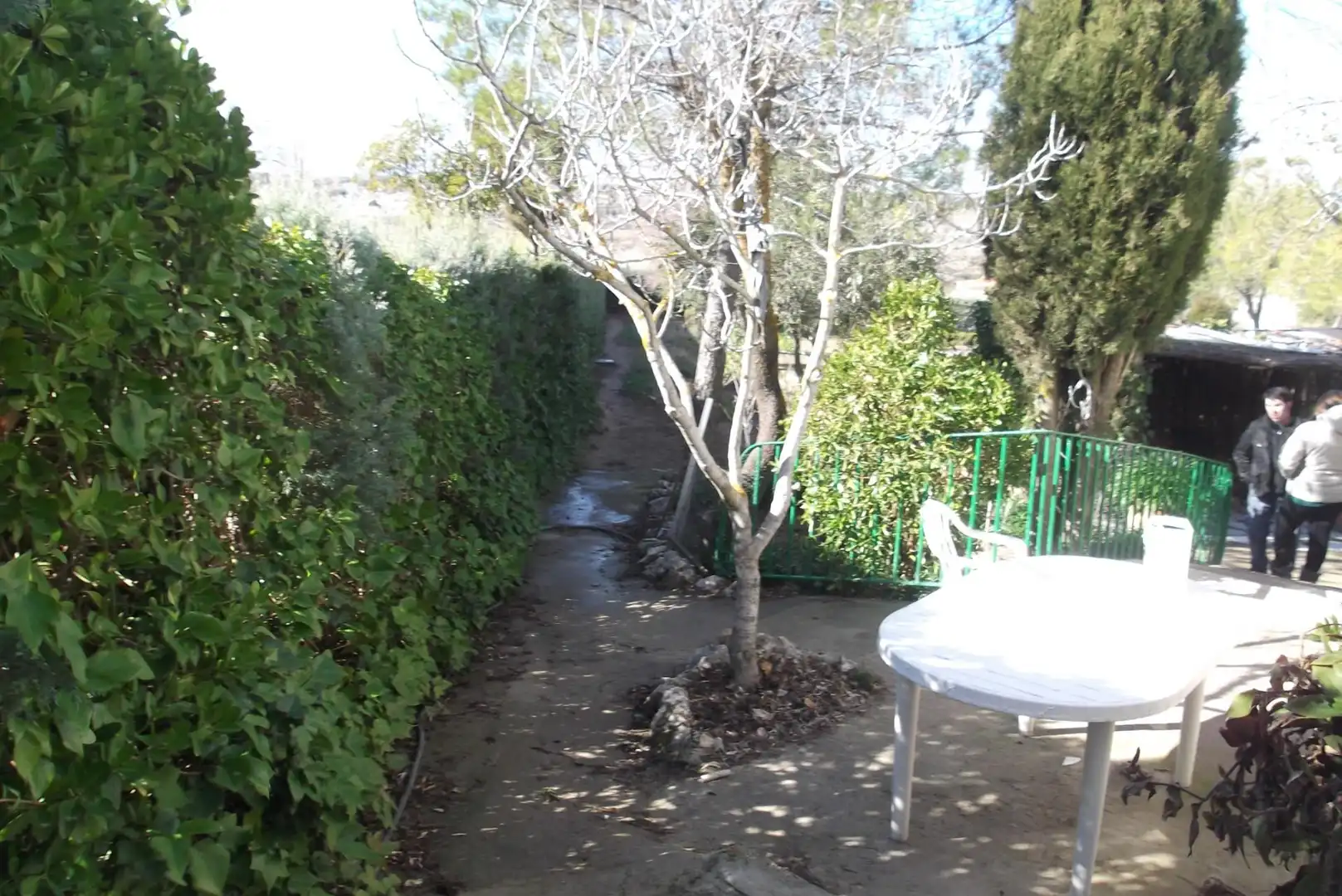 Terreno en venta en Calle del Abejaruco, 1, Brea de Tajo Jardín de Terreno en venta en Brea de Tajo