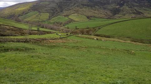 Foto 3 von Grundstücke zum Verkauf in Barrio las Casillas, Merindad de Valdeporres, Burgos